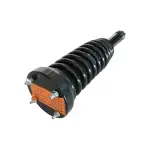883189 - : Jaguar Suspension Strut and Coil Spring Assembly  - Rear for GSP Image