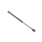 4589606AB - Body: Lift Cylinder for Chrysler: 300 | Dodge: Charger, Magnum Image