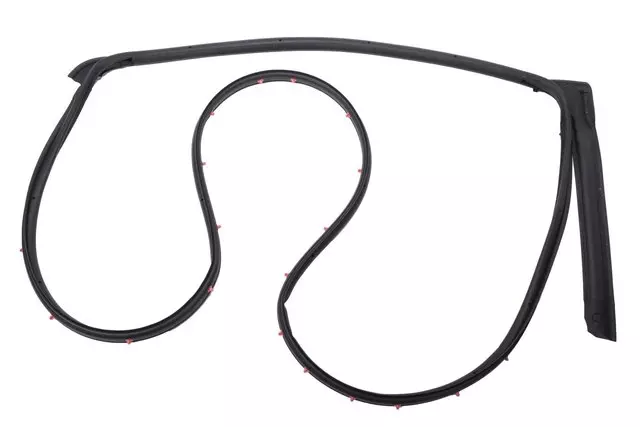 Rear Driver Side Door Weatherstrip - GM (42454859)