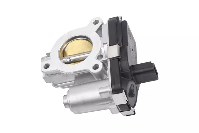 Throttle Body - GM (25205292)