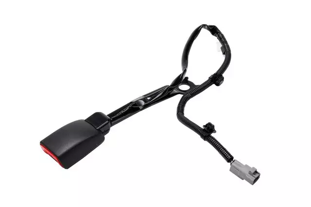 Buckle - GM (88973989)