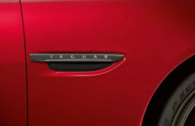 C2P24173 - Exterior: Carbon Fiber Side Power Vents - Right-Hand for Jaguar Image