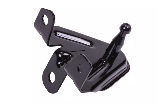 13315778 - Body: Hinge for GM Image