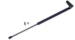 611433 - : Liftgate Lift Support for Tuff Support Image