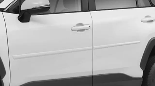 Moldings, Body Side, Silver Sky Metallic - Toyota (PT938-42190-01)