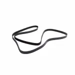 12637202 - : V-Ribbed Serpentine Belt for GM Image