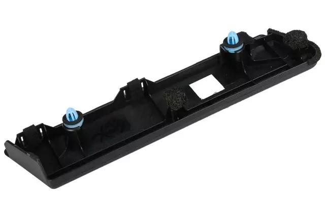 19317658 - Body: Finish Molding for Chevrolet: City Express Image