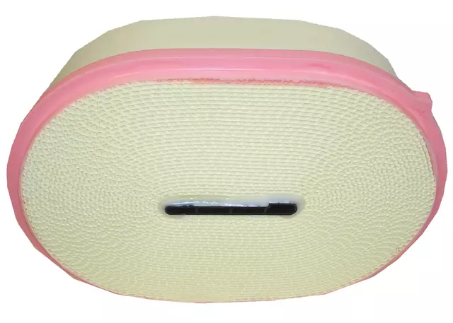 15813300 - Engine: Element for Cadillac: STS Image