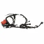 WC96495 - : Motorcraft™ Battery Cable Harness for Lincoln: MKS Image