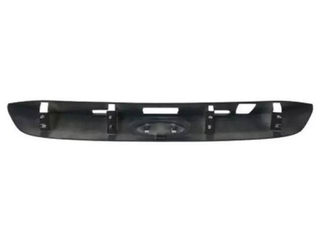 Lift-Gate Finish Panel - Ford (DM5Z-5843400-BAPTM)