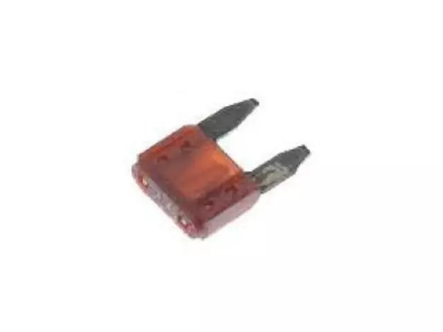 Fuse - Ford (F5OZ-14526-AB)