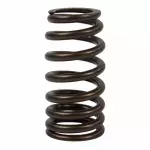 ET4Z6513B - Engine: Valve Springs for Ford: Explorer, F-150, Police Interceptor Utility, Transit-150, Transit-250, Transit-350, Transit-350 HD Image