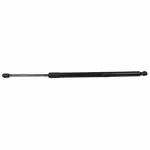 FT4Z58406A10D - : Lift-Gate Lift Support for Ford: Edge Image