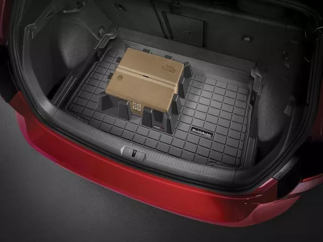 3C8061161A - Interior: Muddy Buddy - Trunk Liner - Black for Volkswagen: CC Image