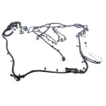 JL1Z14405D - : Wiring Assembly Rear Lamps for Ford Image