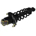 869215 - : 05-09 Scion tC Suspension Strut and Coil Spring Assembly  - Rear Left for GSP Image