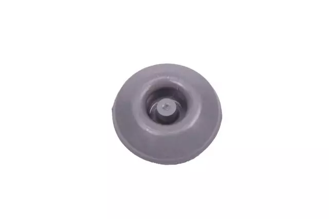Multi-Purpose Plug - GM (13310890)