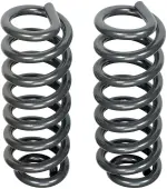 929900 - Suspension: Heavy Duty Coil Spring Upgrade - 35 Percent Increased Load Handling for Dorman Image
