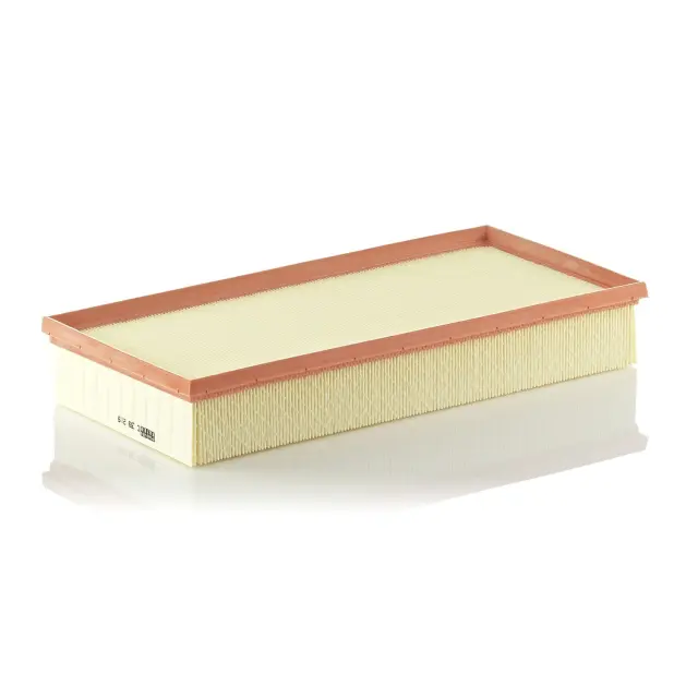 C39219 - : Air Filter for MANN-FILTER Image