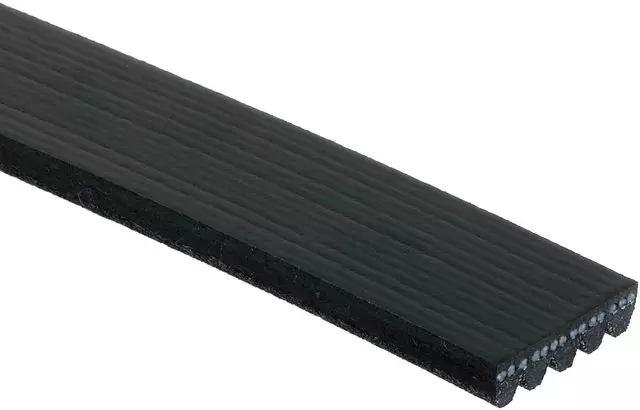 Belt - GM (88932633)