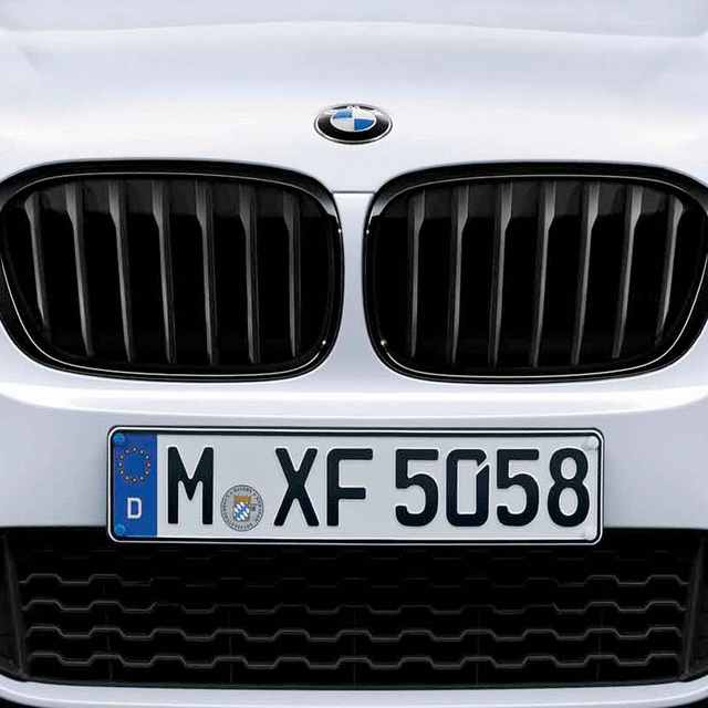 51138080622 - Body: Upper Grille for BMW: X2 Image