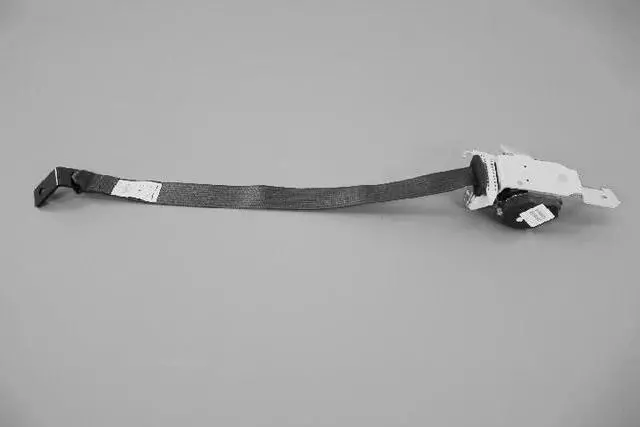 1AN121K7AE - Restraints: 2nd Rear Outer Seat Belt, Right for Mopar Image