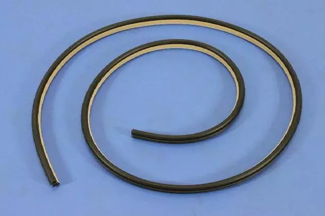 1KV45DX9AG - : Front Door Opening Weatherstrip, Right &amp; Left for Mopar Image