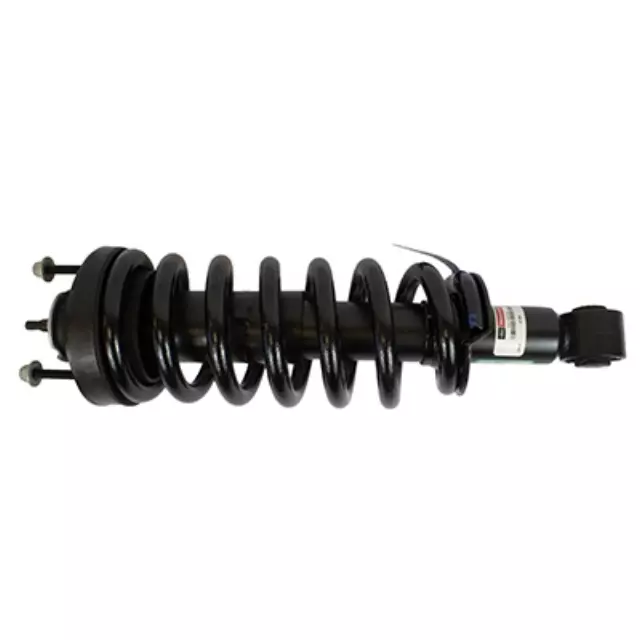 Strut Loaded Assembly - Ford (ASTL-34)