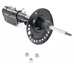 E43024RC1A - : Strut for Nissan: Maxima Image