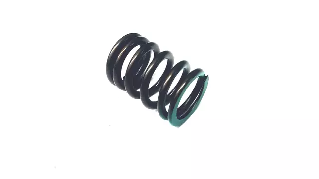 13217AA720 - : Valve Springs for Subaru: BRZ, Forester, Impreza, Legacy, Outback, WRX, XV Crosstrek Image