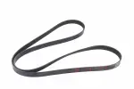 12647764 - : V-Ribbed Serpentine Belt for GM Image