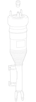 2573202401 - : Air Spring Strut for Mercedes-Benz Image
