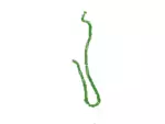 HC3Z14D202Y - : Cable Assembly for Ford Image