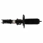 AST18193 - : Shock Absorber Assembly for Ford: Mustang Image