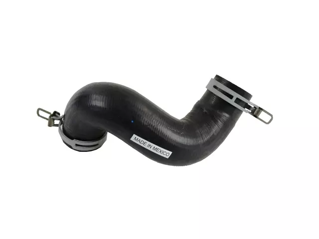 52029283AF - Cooling System: Lower Hose for Ram: Dakota Image