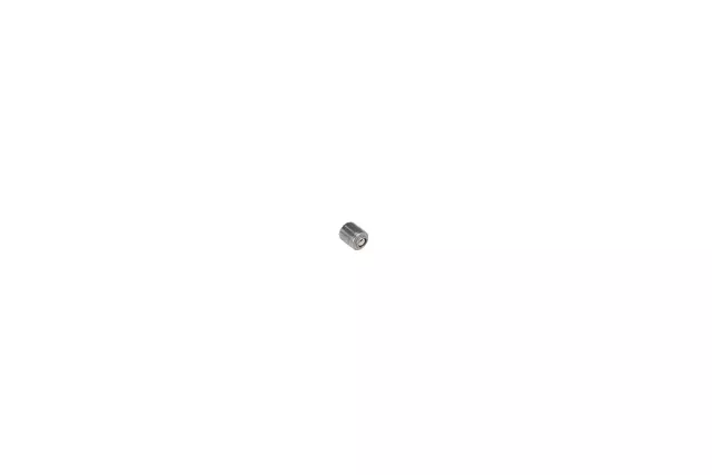 Valve - GM (90530050)