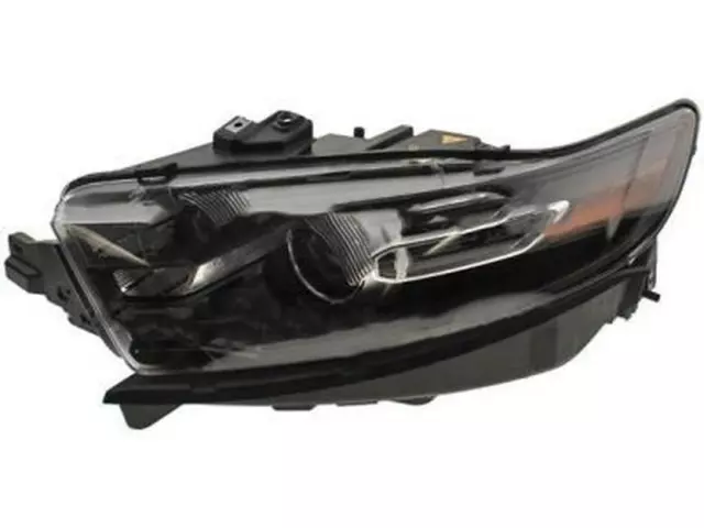 Headlamp Housing - Ford (DG1Z-13008-P)