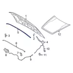NZ6Z16B990A - : Front Weather-Strip for Ford: Maverick Image