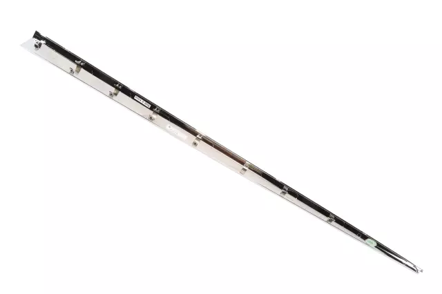 94560529 - : 2017-2021 Chevrolet Bolt EV - Front Passenger Side Door Molding Insert for GM Image