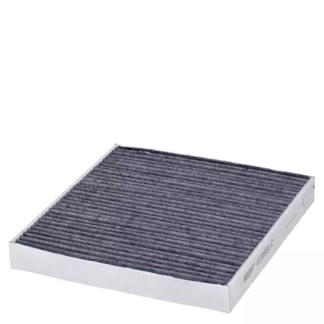 E2998LC - Filters: Hengst Cabin Air Filter for HENGST Image