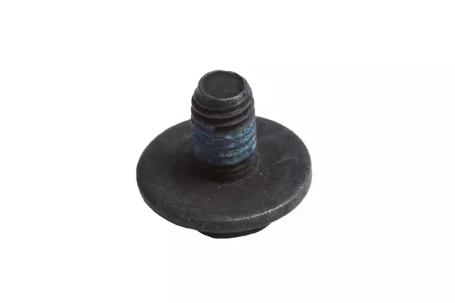 11519231 - : Heat Shield Bolt for GM Image