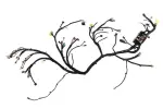42763920 - : F Harness for GM Image