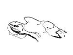 68624004AC - Electrical: Front End Module Wiring for Mopar Image