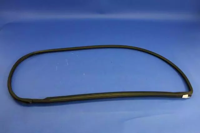 Door Glass Weatherstrip, Left - Mopar (4763879AE)