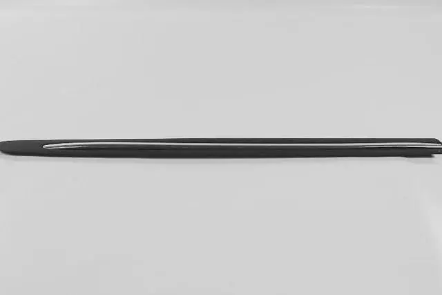 Front Door Molding, Right - Mopar (TV98TZZAC)