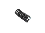 68427741AA - : Rear Coil Spring, Right for Dodge: Charger Image