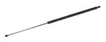 610075 - : Liftgate Lift Support for Tuff Support Image