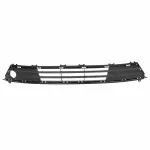HS7Z17B968DA - : Lower Grille for Ford Image