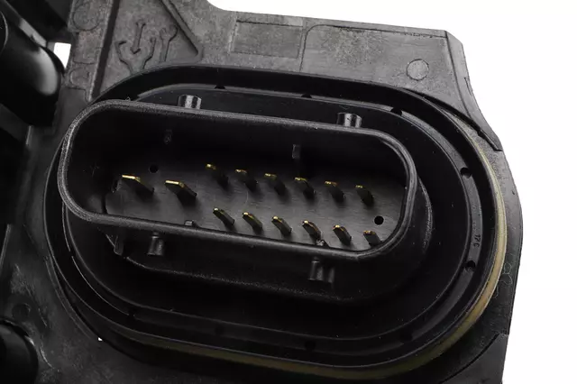 Valve - GM (24052399)