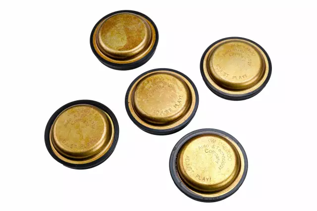 96495510 - : Rear Axle Hub Cap for Chevrolet: Aveo, Aveo5 Image